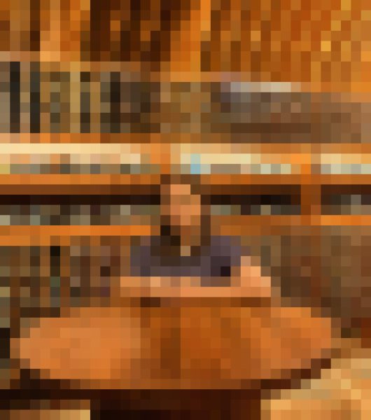 Cha, 41, San Luis Talpa