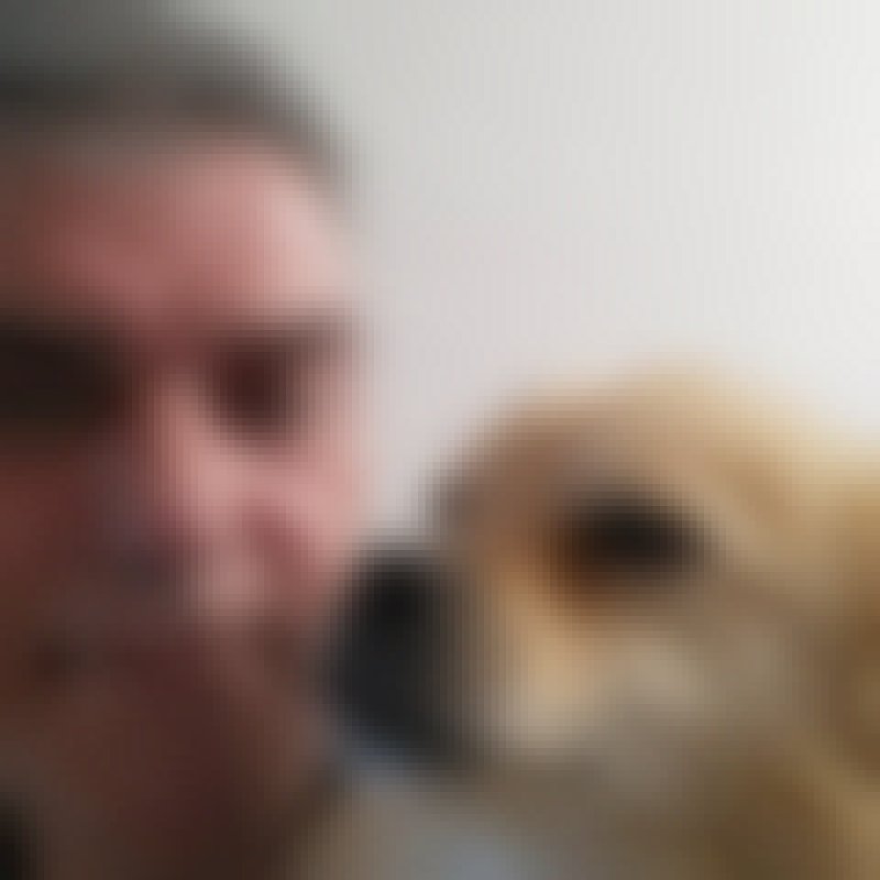 Peter, 61, Belgium
