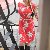 Avyanna, 35, Plettenberg