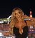 Sophia love, 33, Yongping