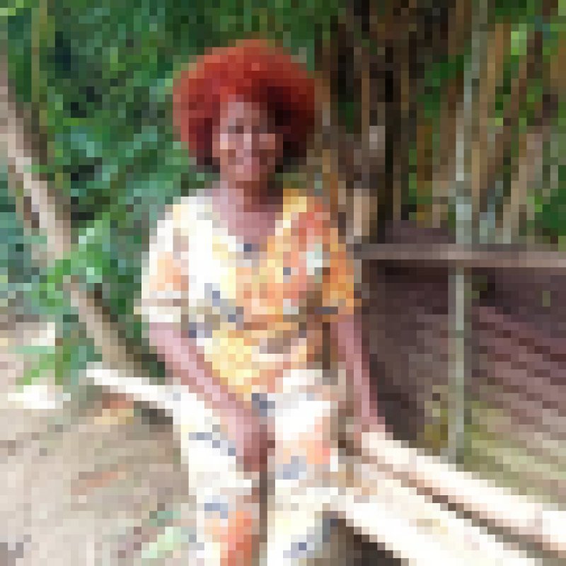 Lily, 59, Asheville