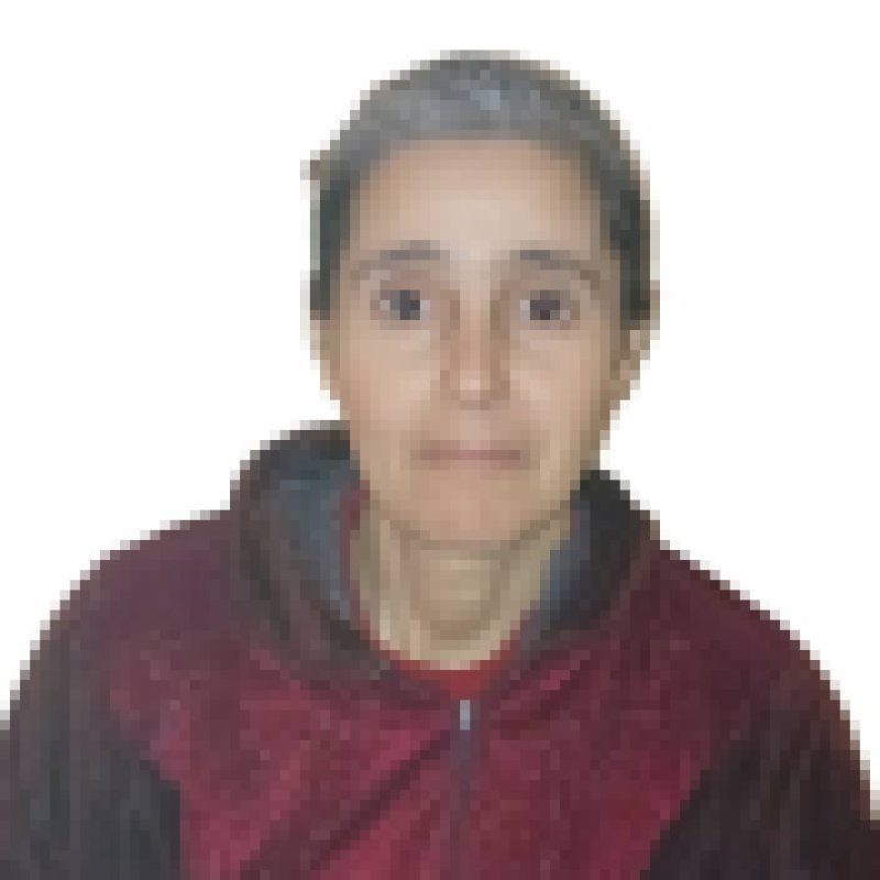 fatiha daoudi, 47, Bangladesh
