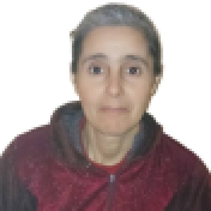 fatiha daoudi, 47, Narayanpur