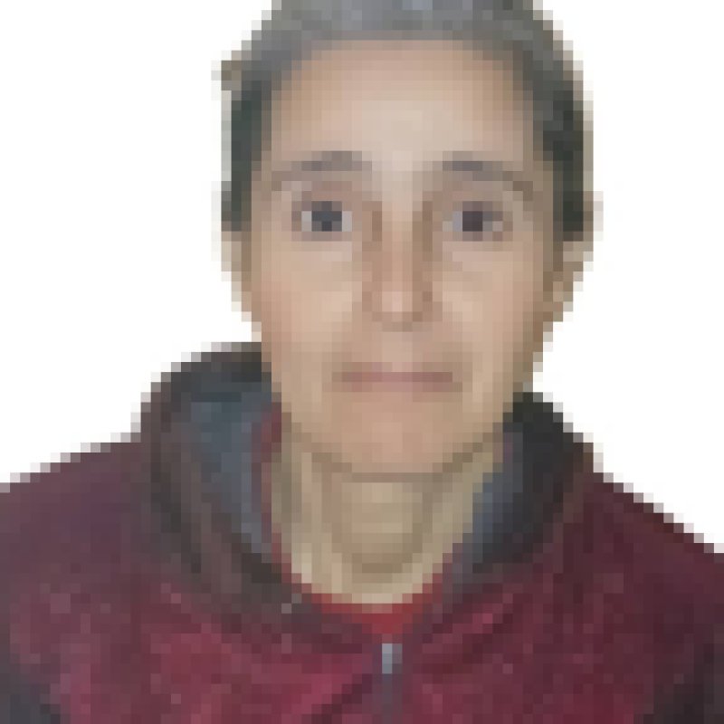 fatiha daoudi, 47, Rondon