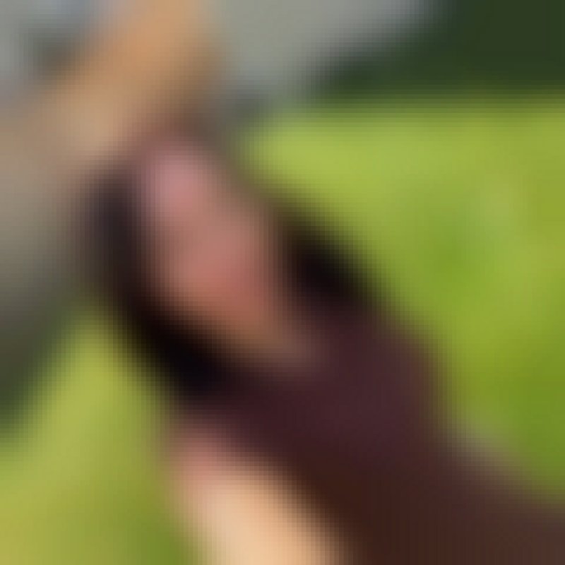 Lisa, 39, Brazil
