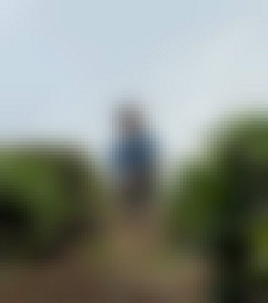 Shaah, 20, Pattanakkad