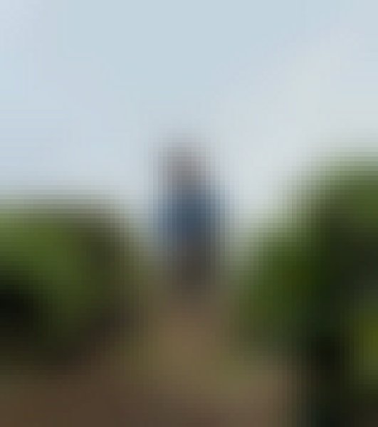 Shaah, 20, Senegal