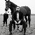 Feroz, 30, Charlton Kings