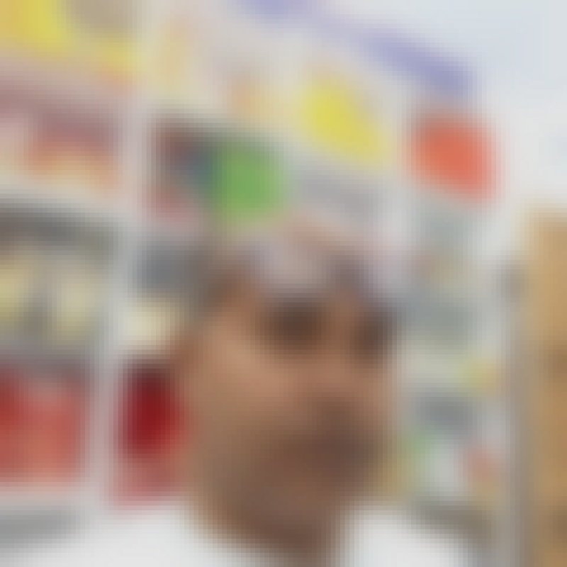 Jewel, 48, Nanbu