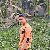 Md Monir, 25, Sarveliler