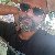 Shohag, 35, South Frontenac