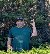 DwayneGazz, 53, Nabilatuk