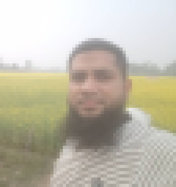 Alim khan, 32, Algeria