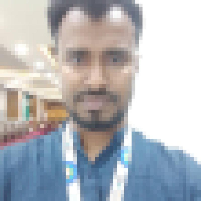 Hasan Rizvi, 35, Germany