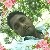 Sahidul Islam, 35, Latvia