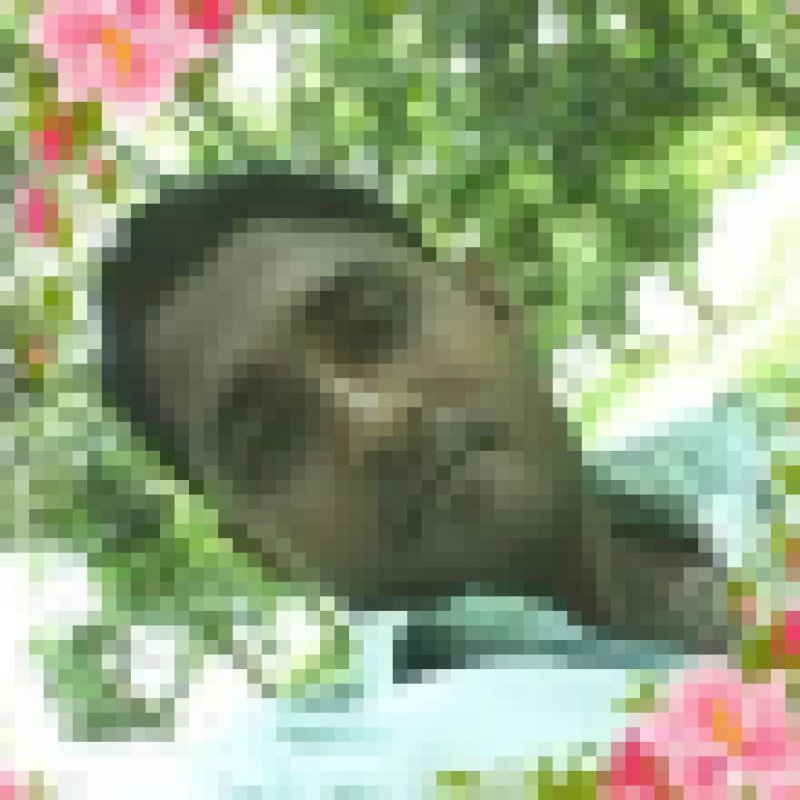 Sahidul Islam, 35, Ghana