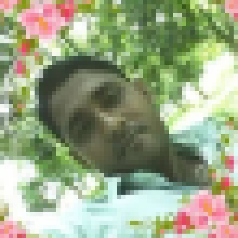 Sahidul Islam, 35, Port St John