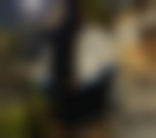 Jeff, 26, San Francisco El Alto