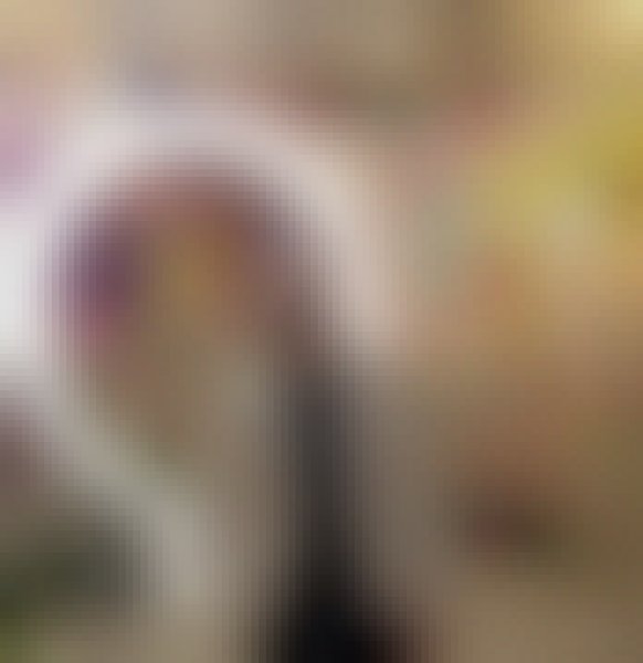 Raju Ahammed, 34, Aguascalientes