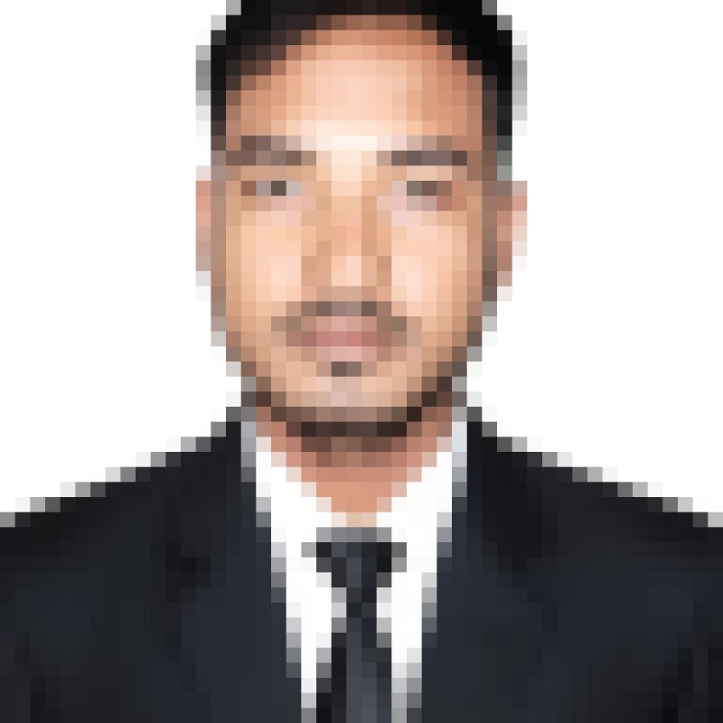 MD MANIK DULAL, 33, France