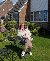 Holz, 51, East Sussex