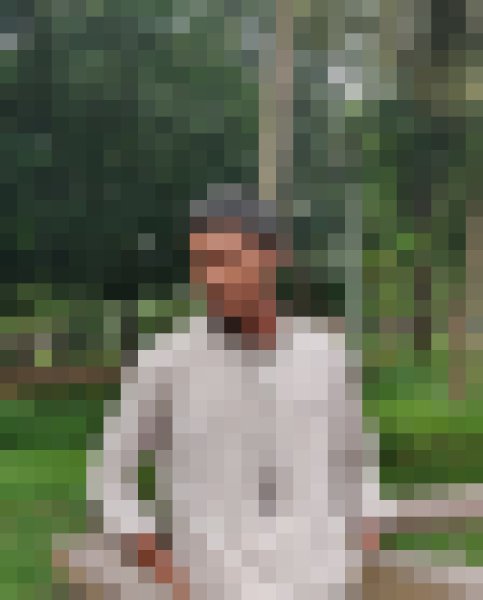 Sajeed, 24, Egypt