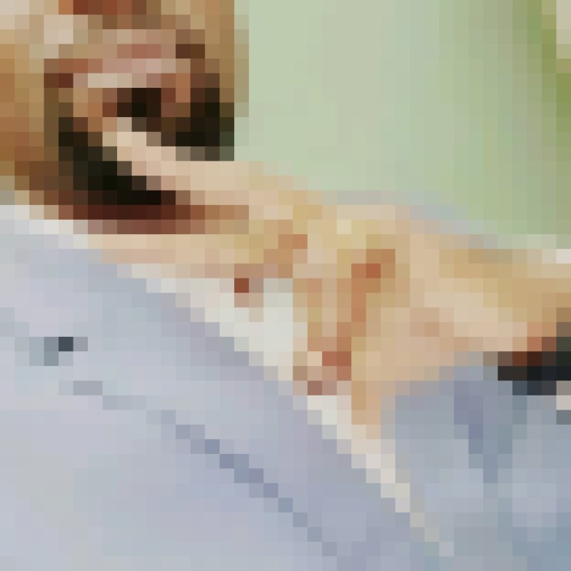 Claude Alain, 36, Switzerland
