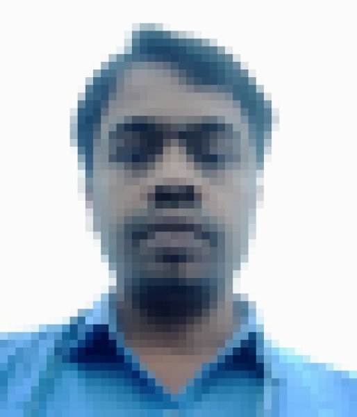 parikhitBiswas, 27, Algeria