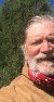 scott, 64, Amalida